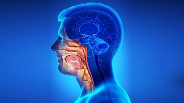 Head & Neck Cancer Radiotherapy Care